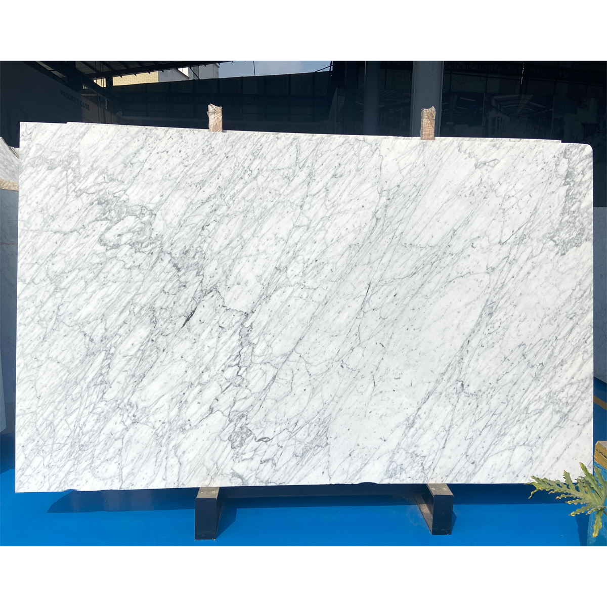 100% Natural Arabescato White Marble Slab For Villa Decoration Kitchen Island Countertop Floor Tiles Interior Wall Panel Ceiling Tiles Staircase