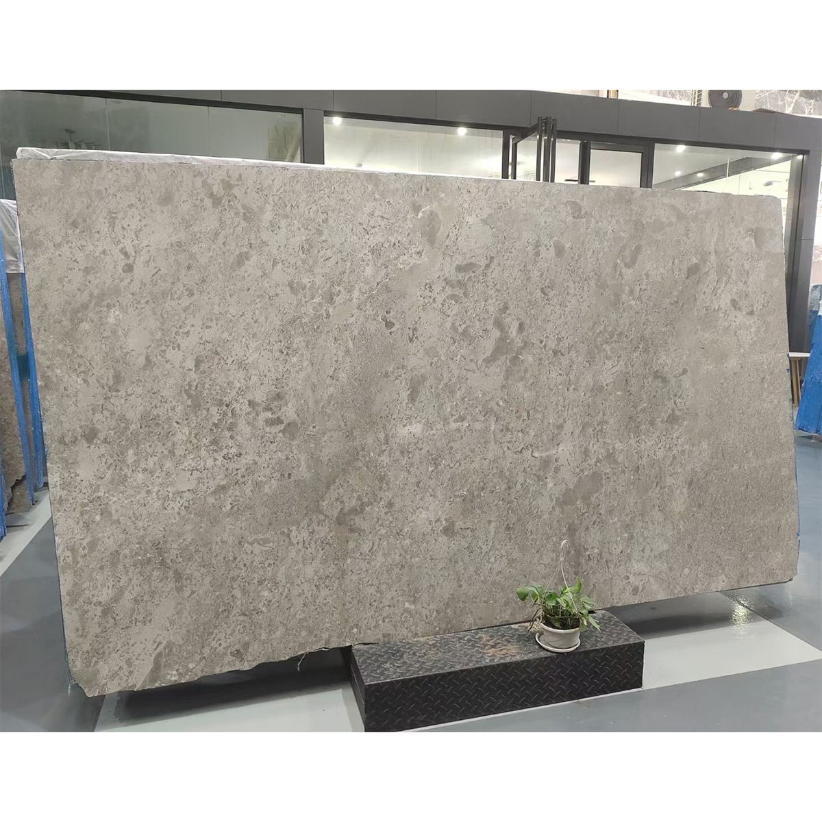 Luxury Stone Royal High Grade Ice England Grey Marble Slab