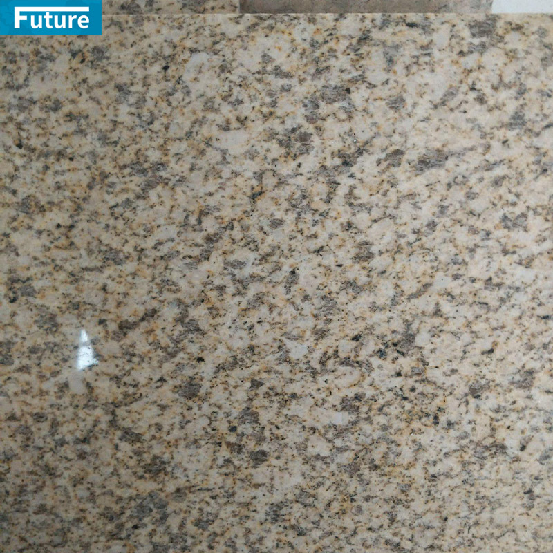 Wholesales Top Grade Golden Leaf Granite For Villa Hotel Lobby Decoration House Stone Engineering Projects Wash Basin Granite Kitchen Countertop