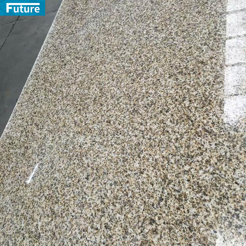 Wholesales Top Grade Yellow Rust Granite For Villa Hotel Decoration Projects Apartment Kitchen Countertop Floor Tiles Swimming Pool Tiles