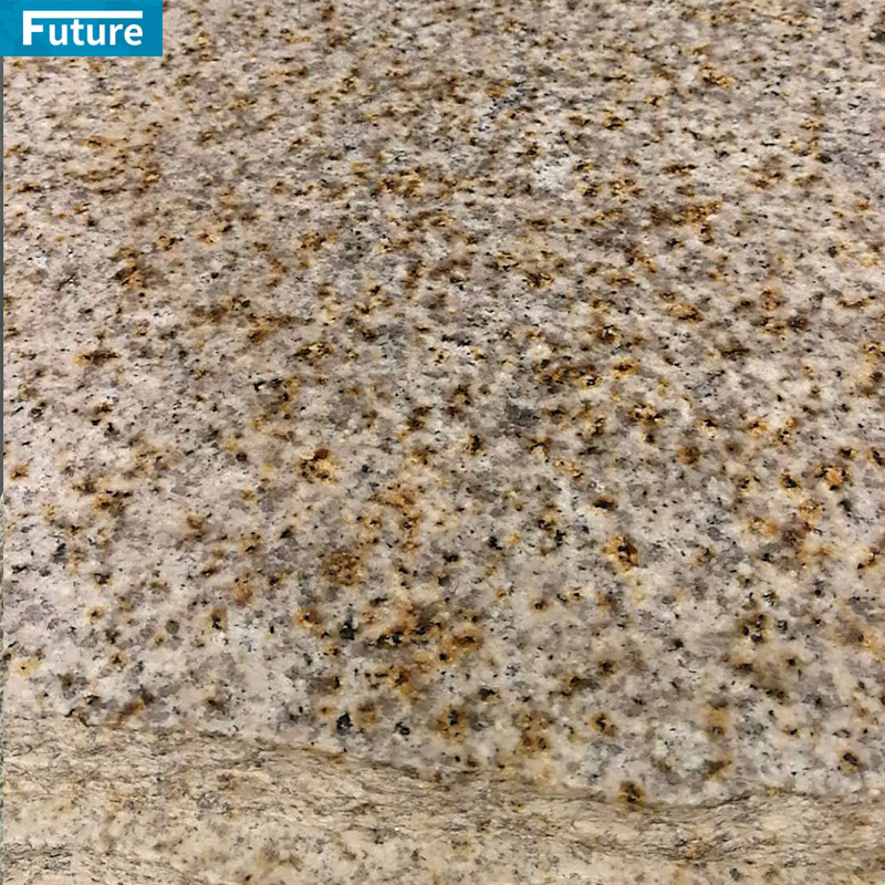 Wholesales Top Grade Yellow Rust Granite For Villa Hotel Decoration Projects Apartment Kitchen Countertop Floor Tiles Swimming Pool Tiles