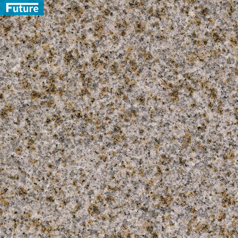 Wholesales Top Grade Yellow Rust Granite For Villa Hotel Decoration Projects Apartment Kitchen Countertop Floor Tiles Swimming Pool Tiles