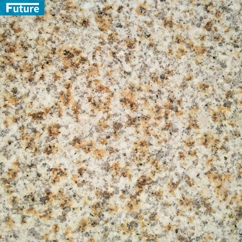 Wholesales Top Grade Yellow Rust Granite For Villa Hotel Decoration Projects Apartment Kitchen Countertop Floor Tiles Swimming Pool Tiles