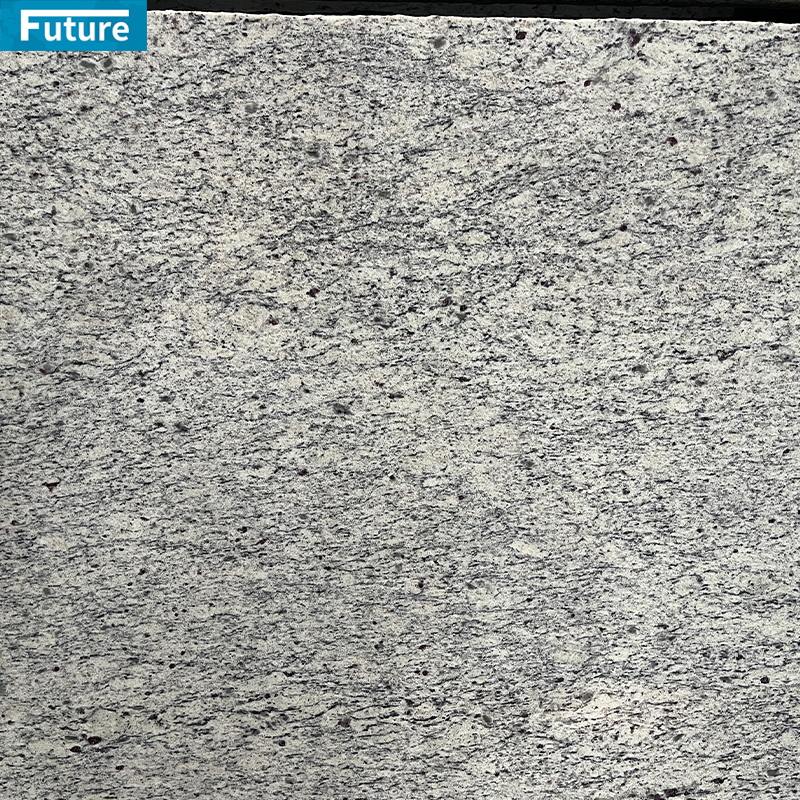 Wholesales Durable Santa Cecilia White Granite Slab For Wall Veneer Ceiling Tiles Floor Tiles Kitchen Countertop Stone Projects